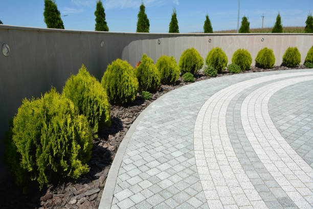 Best Best Driveway Pavers  in West Union, IA